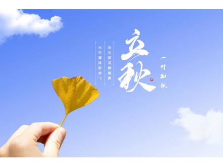 今日立秋：人間朝暮，葉落驚秋